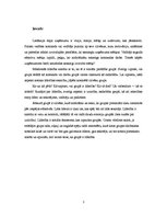 Referāts 'Līderība organizācijā', 3.