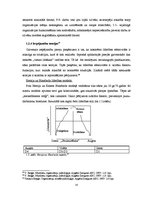 Referāts 'Līderība organizācijā', 23.