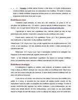 Referāts 'Datora informācijas saglabāšana, aizsargāšana', 4.