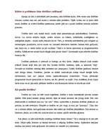 Referāts 'Datora informācijas saglabāšana, aizsargāšana', 16.