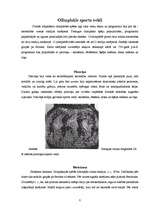 Referāts 'Antīkās Olimpiskās spēles', 8.