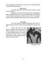 Referāts 'Antīkās Olimpiskās spēles', 10.