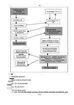 Diplomdarbs 'Valsts ieņēmumu dienesta Latgales Reģionālās iestādes Ludzas nodaļas darbības ra', 39.