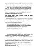 Referāts 'Sociālā politika cilvēkiem ar invaliditāti', 17.