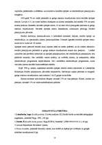 Referāts 'Sociālā politika cilvēkiem ar invaliditāti', 18.