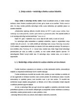 Referāts 'Nedzirdīgo cilvēku iespējas socializēties mūsdienu sabiedrībā', 3.