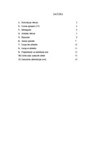 Paraugs 'Dokumentu veidi lietvedībā', 1.