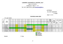 Paraugs 'Dokumentu veidi lietvedībā', 13.