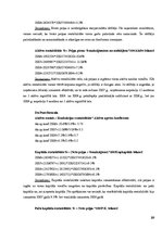 Referāts 'Finanšu analīze SIA "Tamro"', 20.