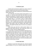 Referāts 'Pircēju rīcības faktori un to analīze Latvijas tirgū', 34.