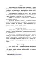 Referāts 'Jaunatnes politika Latvijā', 3.