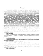 Diplomdarbs 'Speciālie pasākumi jauniešu iesaistīšanai Latvijas kultūras pieminekļu aizsardzī', 7.