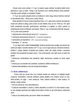 Referāts 'Juridiskā atbildība, vaina un sods', 13.