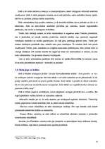 Referāts 'Juridiskā atbildība, vaina un sods', 14.