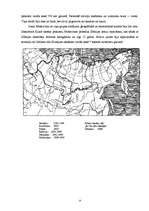 Referāts 'Lielie ģeogrāfiskie atklājumi', 9.