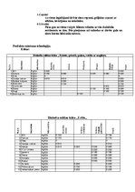 Biznesa plāns 'SIA "Konditoreja"', 9.
