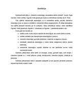 Referāts 'Interaktīvo tehnoloģiju izmantošana mācību procesā', 3.