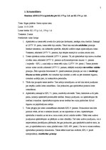 Prakses atskaite 'Prakse Rīgas pilsētas Centra rajona tiesā', 5.