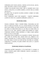 Referāts 'Cilvēktiesību jēdziens', 4.