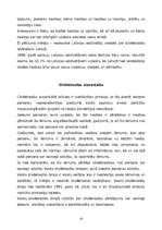 Referāts 'Cilvēktiesību jēdziens', 10.