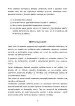 Referāts 'Cilvēktiesību jēdziens', 12.