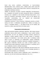 Referāts 'Cilvēktiesību jēdziens', 13.