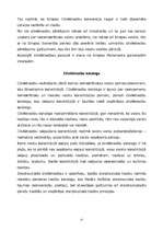 Referāts 'Cilvēktiesību jēdziens', 15.