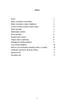 Referāts 'Dators un veselība', 2.