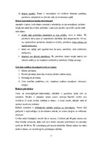 Referāts 'Dators un veselība', 4.