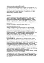 Konspekts 'Tukuma novada budžets', 10.