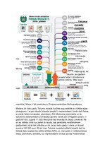 Konspekts 'Tukuma novada budžets', 12.