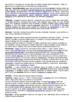 Konspekts 'Jēdzieni politikā', 5.