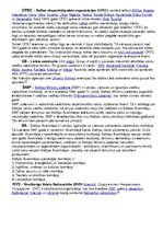 Konspekts 'Jēdzieni politikā', 9.