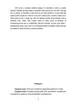 Referāts 'TELE2 priekšapmaksas kartes "Zelta Zivtiņa" reklāmas kampaņa', 9.