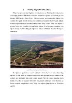 Referāts 'Tokaj vīns – ungāru alkoholiskais dzēriens', 5.