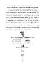 Referāts 'Tokaj vīns – ungāru alkoholiskais dzēriens', 10.