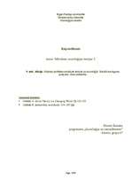 Konspekts 'Subjekta problēma sociālajās teorijās un socioloģijā', 1.