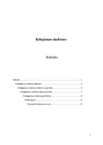 Referāts 'Izdegšanas sindroms', 1.