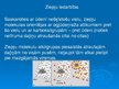 Prezentācija 'Ziepes', 5.