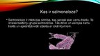 Prezentācija 'Salmoneloze', 2.