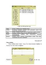 Konspekts 'Datu bāzes kā resurss sociālās palīdzības organizatora profesionālajā darbībā', 29.