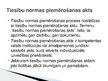 Prezentācija 'Tiesību normu piemērošana - jēdziens un stadijas', 10.