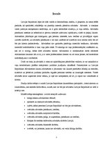 Referāts 'Advokatūra kā tiesiskas valsts justīcijas neatņemama sastāvdaļa', 3.