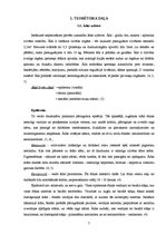 Referāts 'Pacientu aprūpe ādas vēža gadījumā', 7.