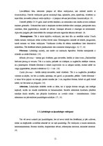 Referāts 'Pacientu aprūpe ādas vēža gadījumā', 12.