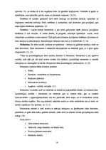 Referāts 'Pacientu aprūpe ādas vēža gadījumā', 16.