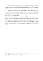 Eseja 'Konflikts starp ekonomisko attīstību un ekoloģiju', 3.