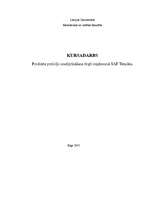 Referāts 'Produkta pozīciju nostiprināšana tirgū uzņēmumā "SAF Tehnika"', 1.