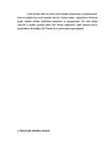 Referāts 'Produkta pozīciju nostiprināšana tirgū uzņēmumā "SAF Tehnika"', 4.