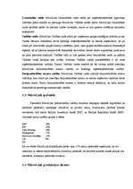 Referāts 'Produkta pozīciju nostiprināšana tirgū uzņēmumā "SAF Tehnika"', 8.